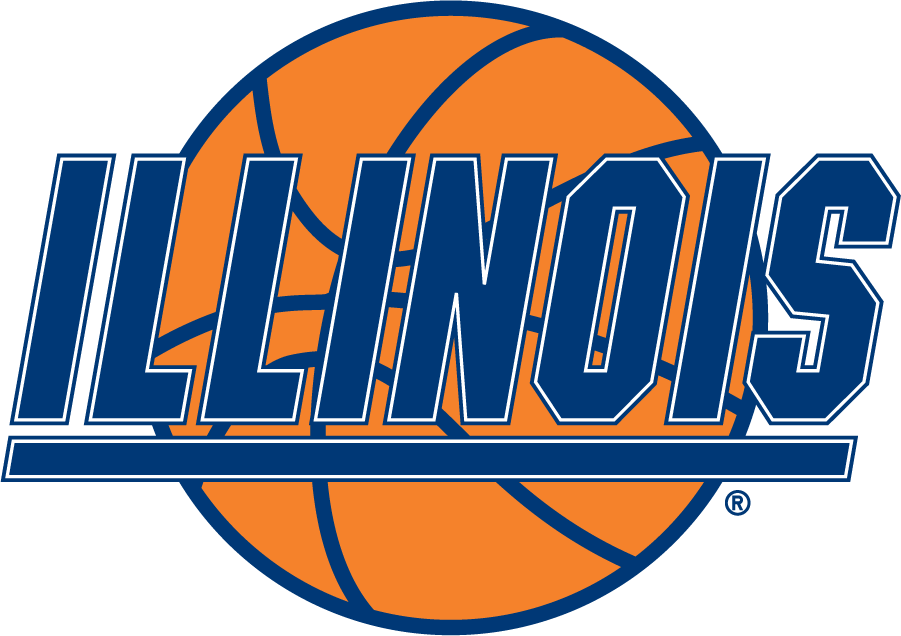 Illinois Fighting Illini 1995-2014 Secondary Logo DIY iron on transfer (heat transfer)